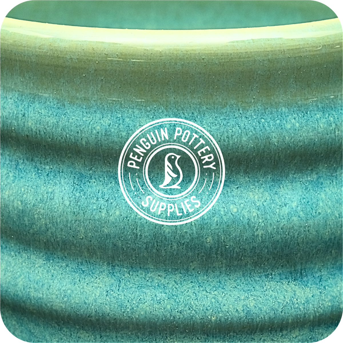 EnchantMint — 16 fl.oz | 473 ml